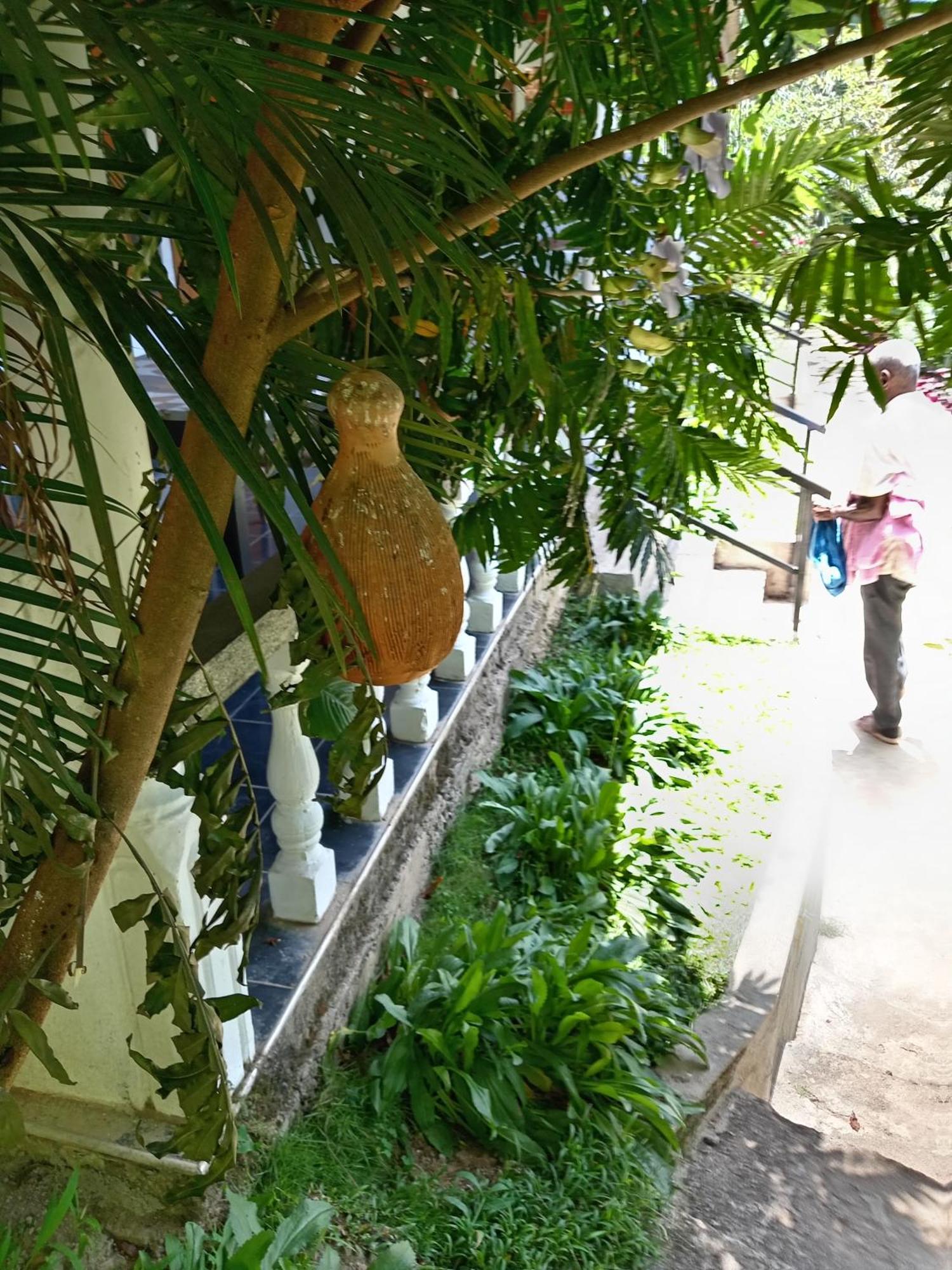 Soorya Inn Ella Bagian luar foto